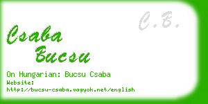 csaba bucsu business card